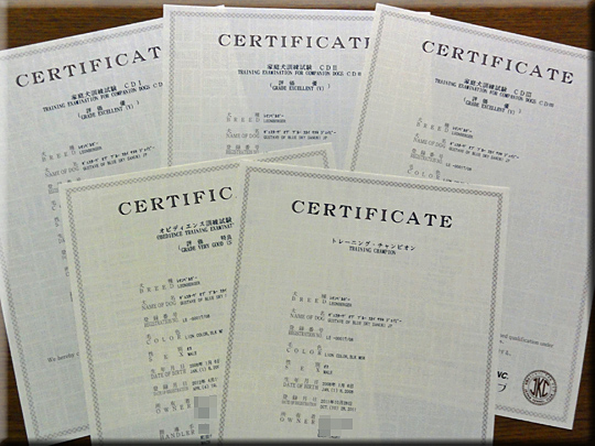 certificates_1205.jpg